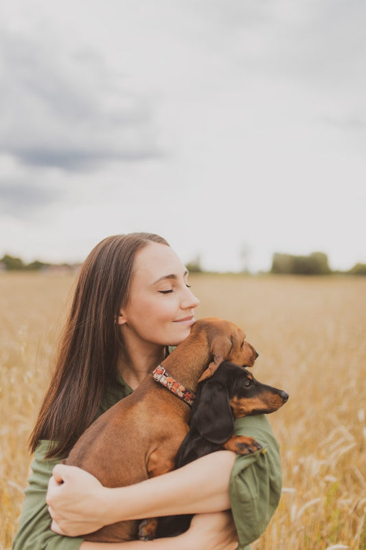 10 Tail-Wagging Ways To Forge A Deeper Bond With Your Dog