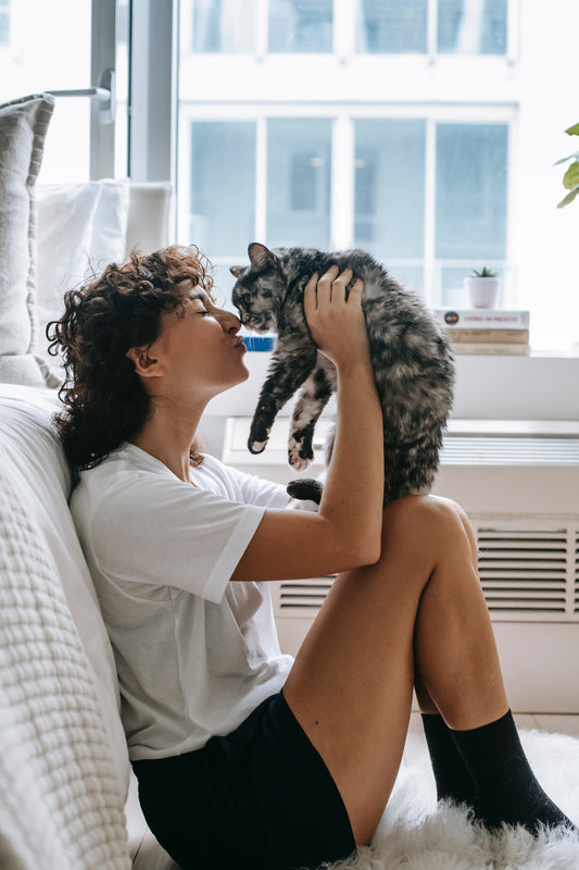 10 Purr-fect Ways To Bond With Your Furry Friend: Unleashing The Cat Lover In You